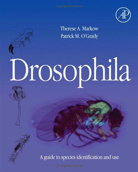 sex determination in drosophila pdf