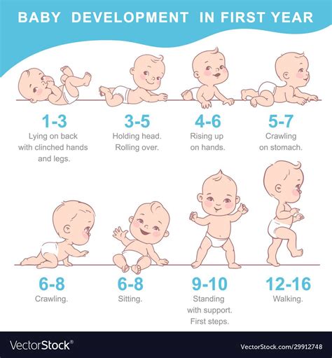 Infographic Of Baby Growth From Newborn To Toddler With Text First