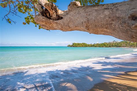 The Best Things To Do In Dominican Republic On Vacation Ranked