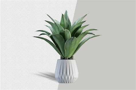 Premium Psd Plant In 3d Rendering Isolated