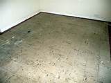 Photos of Old Tile Floor Asbestos