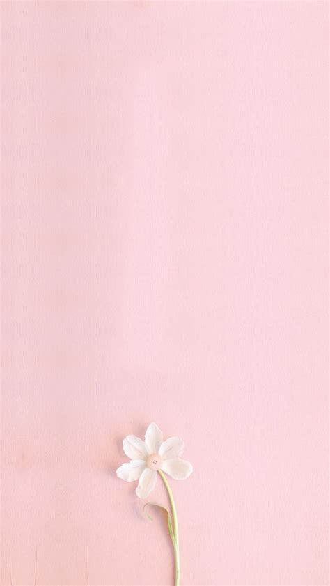 Pink Fresh H5 Background Art Pink Wallpaper Iphone