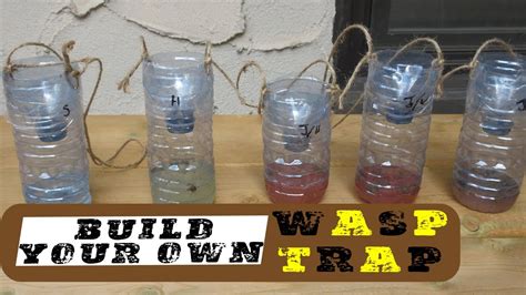Diy Wasp Trap What Works Best Youtube