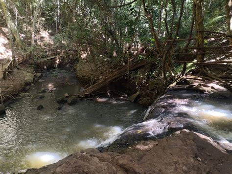 Why Visiting The Splendid Karura Forest Should Be On Your 2023 Bucket