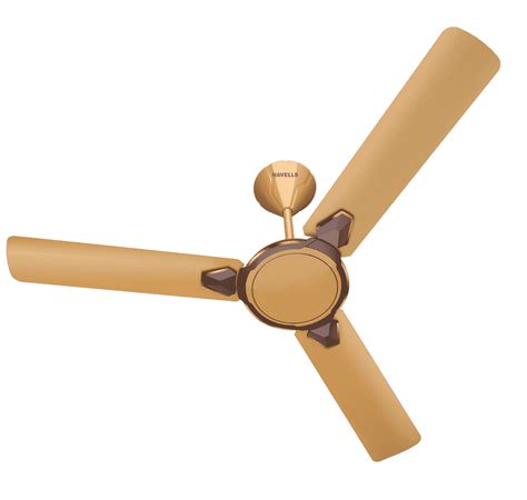 Ceiling Fan Design Havells Havells Pacer 3 Blade Ceiling Fan Price