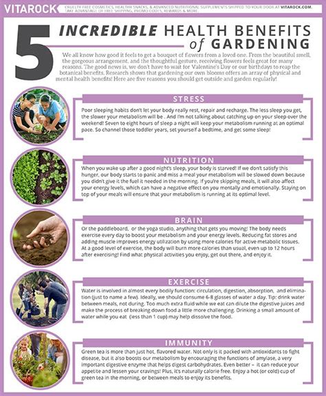5 Incredible Health Benefits Of Gardening Benefits Of Gardening