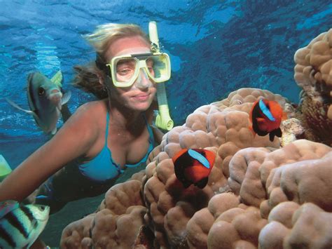 Port Douglas Great Barrier Reef Tours