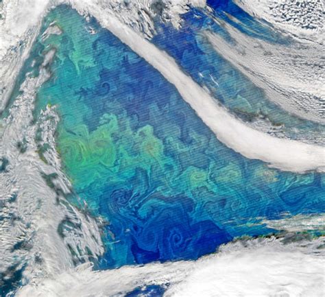 Phytoplankton Bloom In North Atlantic Wordlesstech