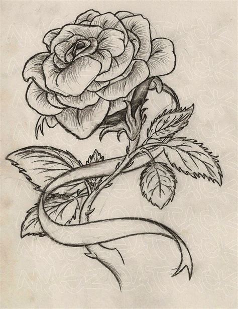 Traditional rose tattoos sketch tattoo design traditional. Image result for rose and thorny vine tattoos | Tatuaje de ...