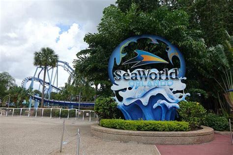 Overview Of Seaworlds Ride Accessibility Program