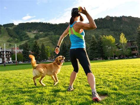 Easy Exercises Top Five Tips For Working Out With Your Dog Uk