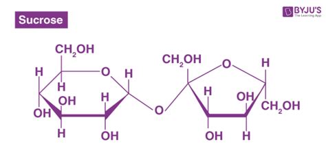 Disaccharides Definition Function Structure And Examples