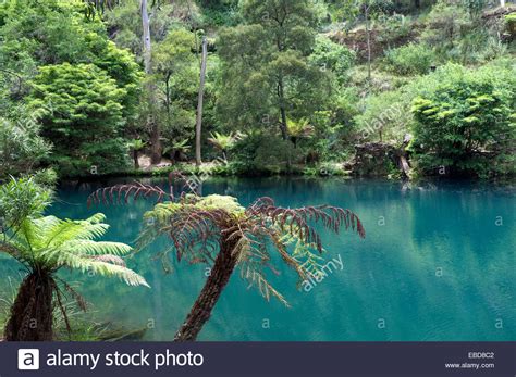 The Blue Lake At Jenolan Caves Blue Mountains Nsw Australia Stock