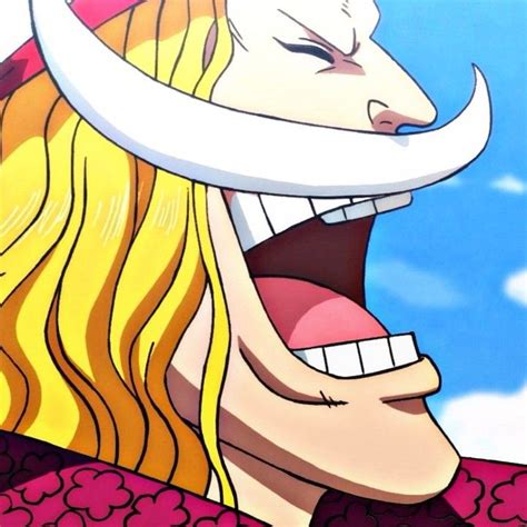 𝐄𝐝𝐰𝐚𝐫𝐝 𝐍𝐞𝐰𝐠𝐚𝐭𝐞 𝐁𝐚𝐫𝐛𝐚 𝐁𝐫𝐚𝐧𝐜𝐚 One Piece Anime Mangá One Piece Anime