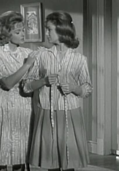 Watch The Donna Reed Show S05e34 Day Of The Hero Free Tv Shows Tubi