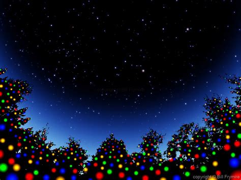 Christmas Trees In Starry Sky