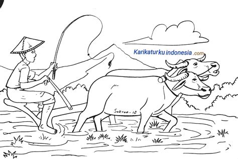 Sketsa Gambar Petani Menanam Padi Di Sawah Kartun Campesino Animado