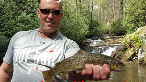 Call them speckled or spotted, trout fishing in florida is plentiful and can be caught by anglers with any skill level. Trout Fishing Georgia's Wildcat Creek - YouTube