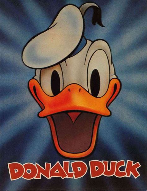 Donald Duck Donald Duck Duck Cartoon Disney Cartoon Characters