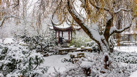 Winter In The Chinese Garden Photograph By Viktor Birkus Pixels