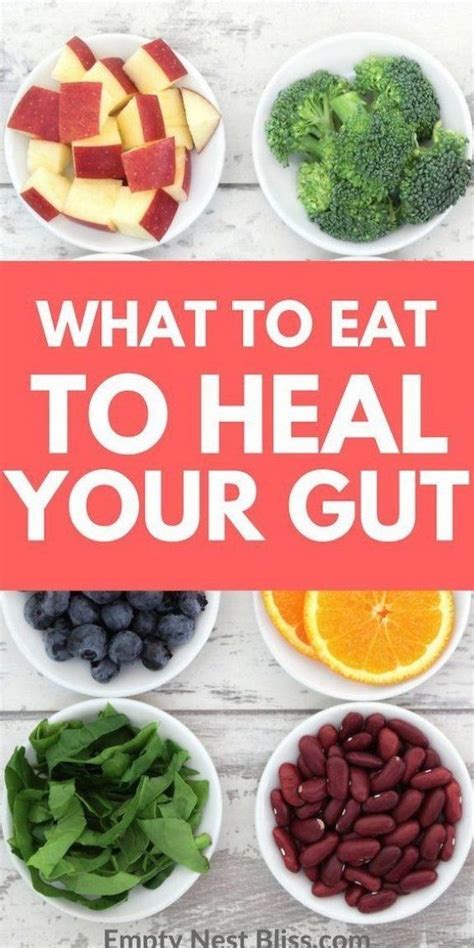 Best Food For Gut Health In 2023 Technonewpage