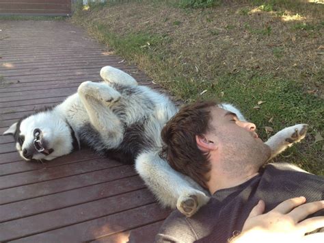 11 Owners And Dogs Pictures While Sleeping Together