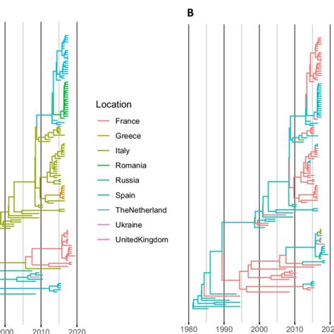 Time Calibrated Phylogenetic Trees The Tree Branches Have Been
