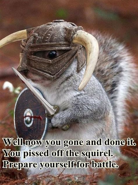 Army Of Squirrels Funny Animal Memes Funny Animal Pictures Animal