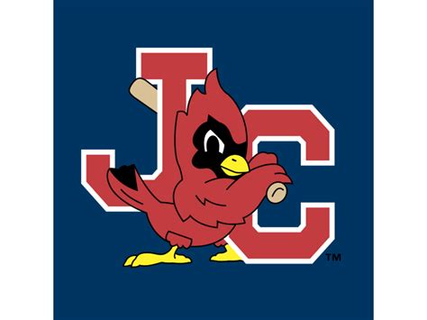 Download johnson & johnson (.eps) vector logo png. Johnson City Cardinals Logo PNG Transparent & SVG Vector ...