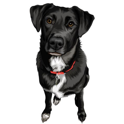 Vector Pets Turns Your Photograph Of Your Beloved Pet Into A Beautiful