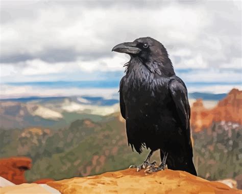 Common Raven Paint By Numbers Paint By Numbers For Adult