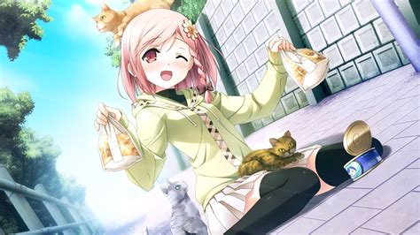 1920x1080 Px Anime Cats Delighted Diary Girl Kantoku Your