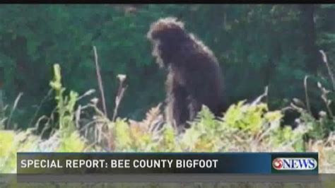 Texas Group Tries To Prove Bigfoot Sightings