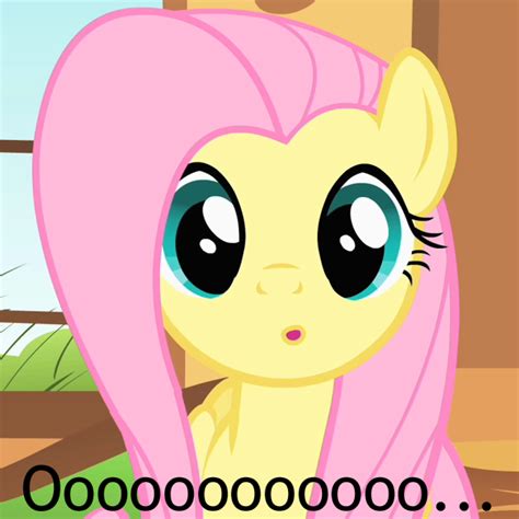 Safe Edit Edited Screencap Screencap Fluttershy Pony O Caption Cute Female