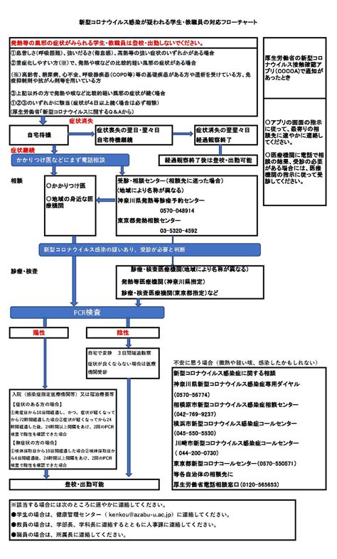 新型コロナウイルス感染症対応のフローチャート 新型コロナウイルス感染症に関する特設ページ 麻布大学