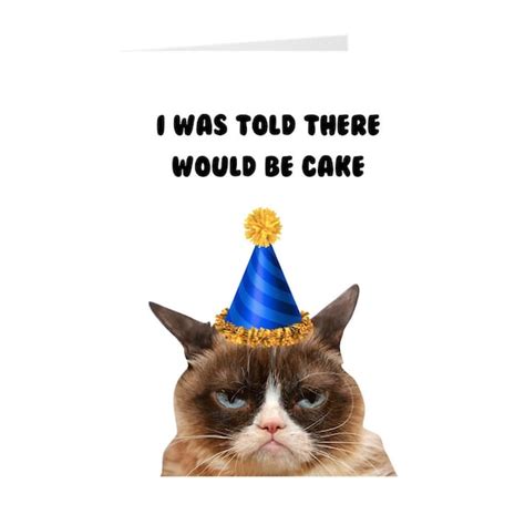 Grumpy Cat Birthday Hat