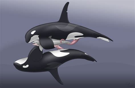 Rule 34 2014 Abstract Background Anthro Cetacean Cum Cum In Pussy Cum Inside Dolphin Erection