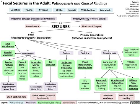 Focal Seizures In The Adult Pathogenesis And Clinical Findings Calgary Guide