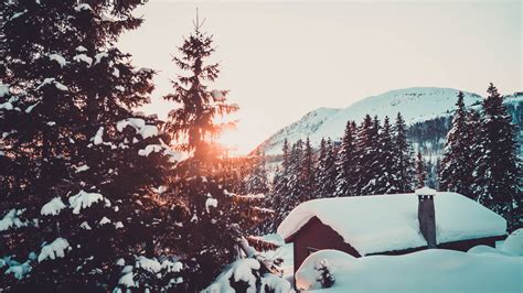 Snow Winter Pine Trees Mountains Cabin Forest Norway Sun Rays