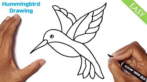 How To Draw A Hummingbird Step By Step Easy Cute Hummingbird Drawing
