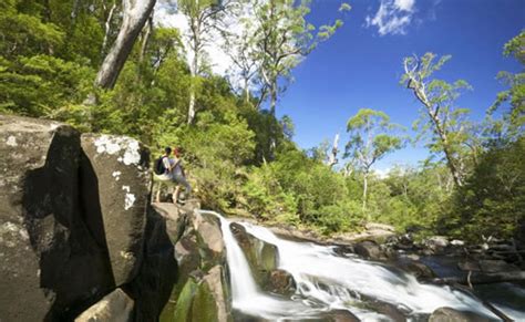 About The Barrington Tops Aussie Ark