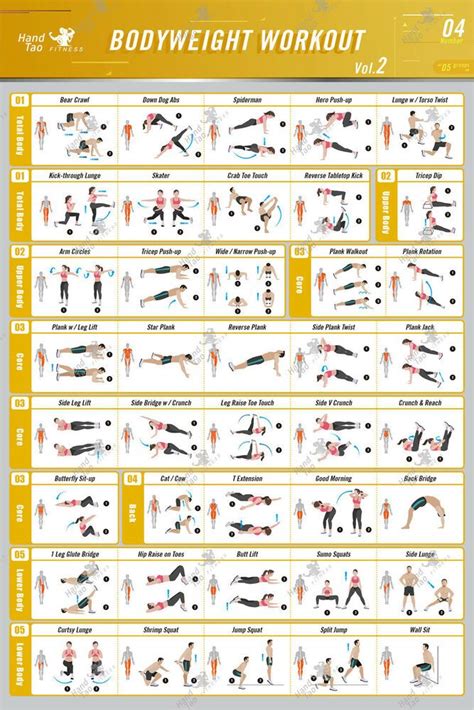 Bodyweight Exercise Poster Bodybuilding Guide Fitness Gym Chart