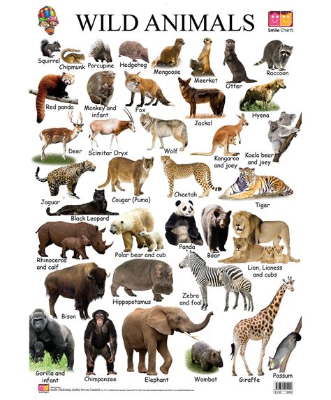 Wild Animals List Name
