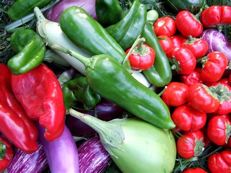 Assorted Veggies | Colorful display of vegetables harvested … | Flickr