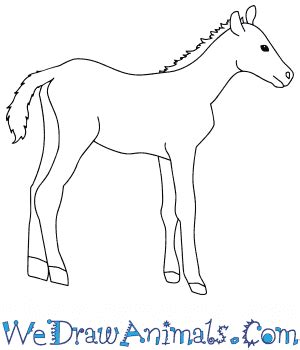Just print out our step by step tutorial and they will be drawing their own as quickly as the kids can use this printable to discover how easy it is to learn to draw their own cartoon dog or puppy! How to Draw a Baby Mustang Horse