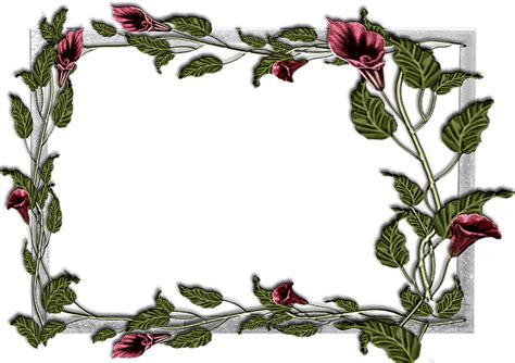 Flowers frame (14) | Gallery Yopriceville - High-Quality Images and