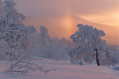 Frosty Rainbow Winter Photography Winter Trees Scenery