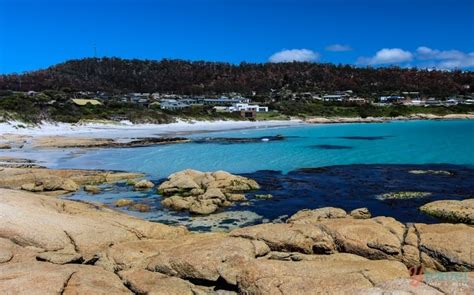 15 Amazing Beaches In Tasmania You Must Set Foot On