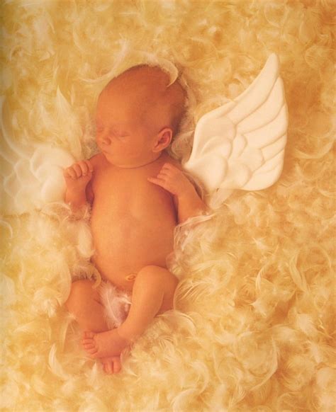 Anne Geddes Photo 27 Of 39 Pics Wallpaper Photo 11420 Theplace2