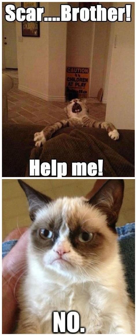 Lion King Vs Grumpy Cat Funny Grumpy Cat Memes Christmas Cat Memes